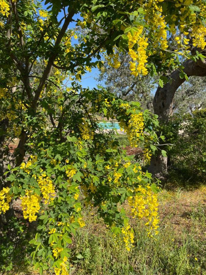 Masseria I Raffi B&B Монополи Экстерьер фото